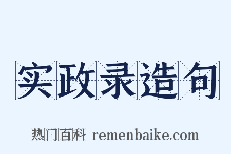 实政录造句是什么意思的图片